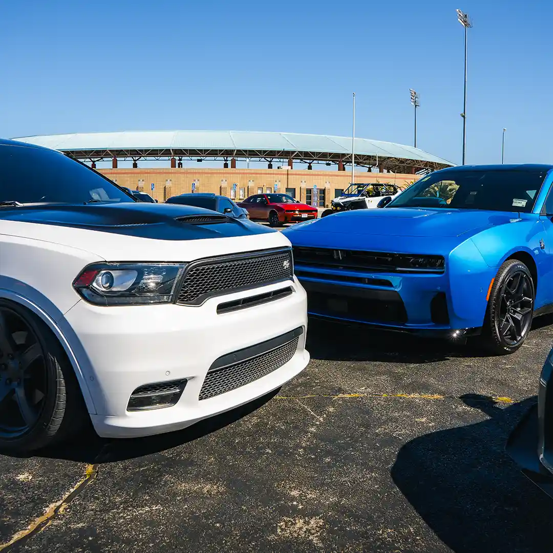 Detour SoCal - Park and Chill 3